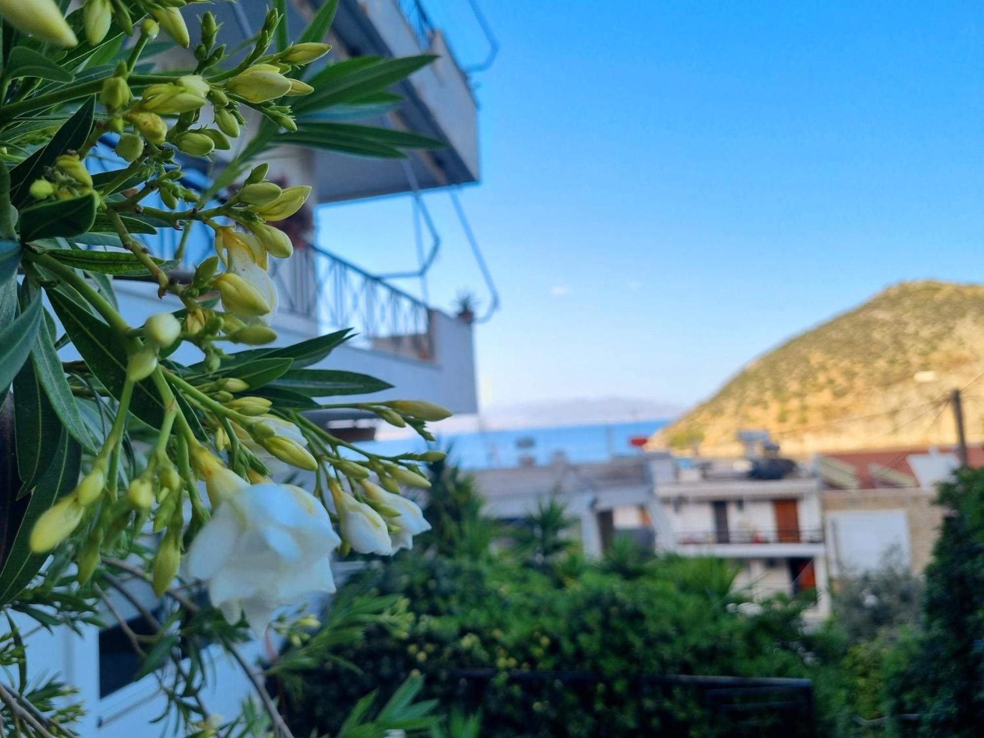 Tolo At Sea - Nova Apartment ภายนอก รูปภาพ